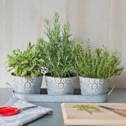 Cook's Herb Trio In Embossed Pots