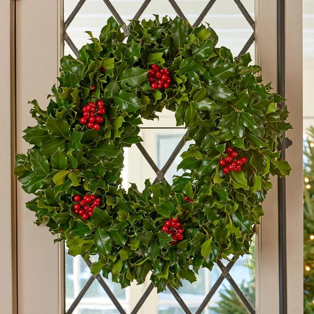 Traditional Holly Wreath 1 Traditional Holly Wreath