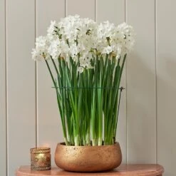 Paperwhite Kit With Copper-toned Ceramic Bowl