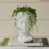 Senecio String Of Pearls In Persephone Ceramic Planter