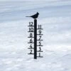 12” Snow Measure – Cardinal