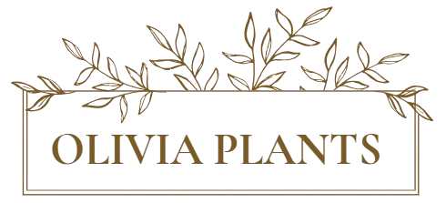 Olivia Plants Sales