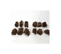 Cornerstone Astilbe Collection