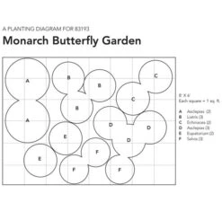 Monarch Butterfly Perennial Garden 13 Monarch Butterfly Perennial Garden -Olivia Plants Sales x600 10921