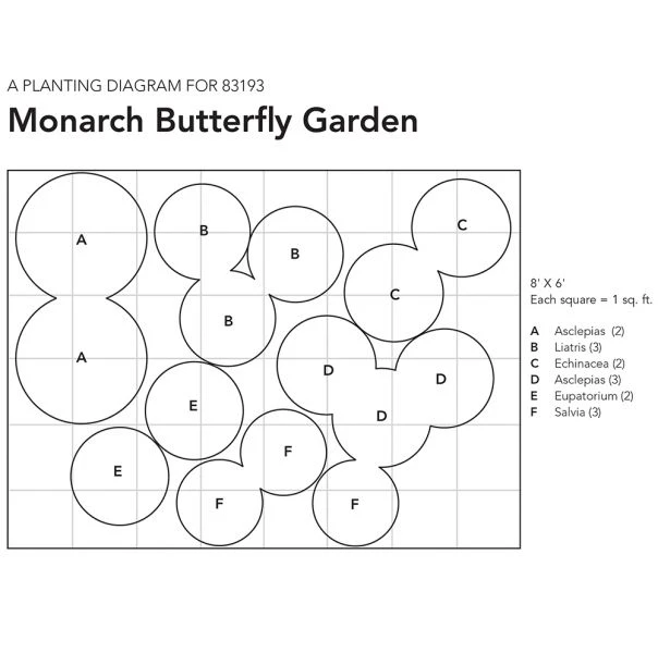 Monarch Butterfly Perennial Garden 5 Monarch Butterfly Perennial Garden - Image 5