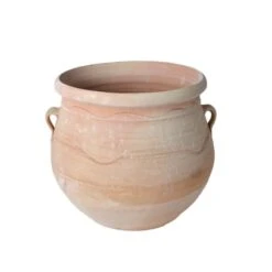 Cretan Pot Gozunta 7 Cretan Pot Gozunta -Olivia Plants Sales x600 10948