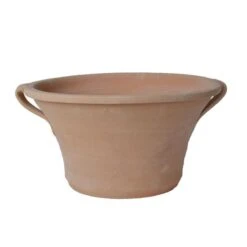 Cretan Pot Ikaros -Olivia Plants Sales x600 10950