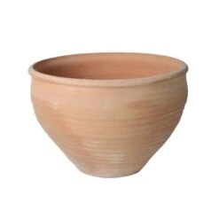 Cretan Pot Barrel Glastra -Olivia Plants Sales x600 10952