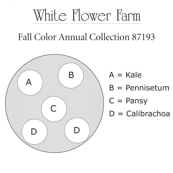 Fall Color Annual Collection 1 Fall Color Annual Collection