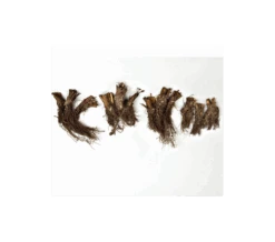 Wings Over Water Siberian Iris Collection -Olivia Plants Sales x600 12689