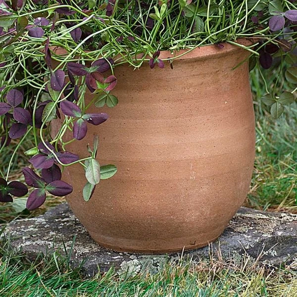 Cretan Pot Idomeneas 2 Cretan Pot Idomeneas - Image 2