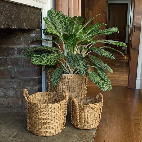 Water Hyacinth Basket, Large 2 Water Hyacinth Basket, Large - Image 2