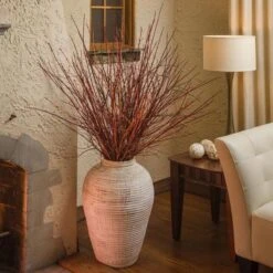 Cornus Sanguinea Arctic Sun® -Olivia Plants Sales x600 16910