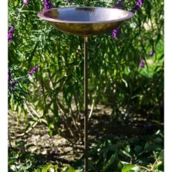 Kerala Birdbath
