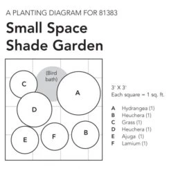 Small Space Shade Garden -Olivia Plants Sales x600 18079
