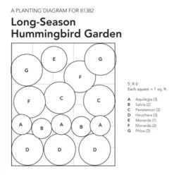 Long-Season Hummingbird Garden -Olivia Plants Sales x600 18080