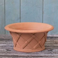 Shallow Basket Pot -Olivia Plants Sales x600 18496