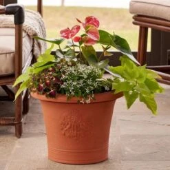 Lovebirds Pot -Olivia Plants Sales x600 18682