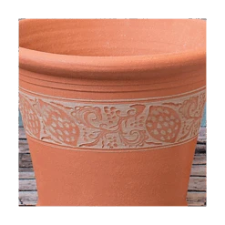 Sicilian Lemon Pot 8 Sicilian Lemon Pot -Olivia Plants Sales x600 18716