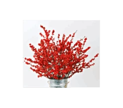 Winterberry Stems (set Of 4 Stems) -Olivia Plants Sales x600 1930