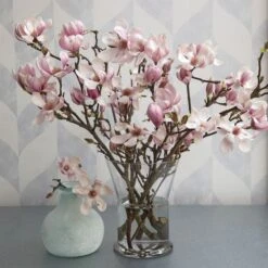 Tulip Magnolia Flowering Branches -Olivia Plants Sales x600 19933