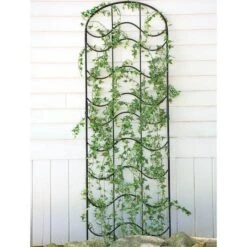 Waves Of Bloom Trellis