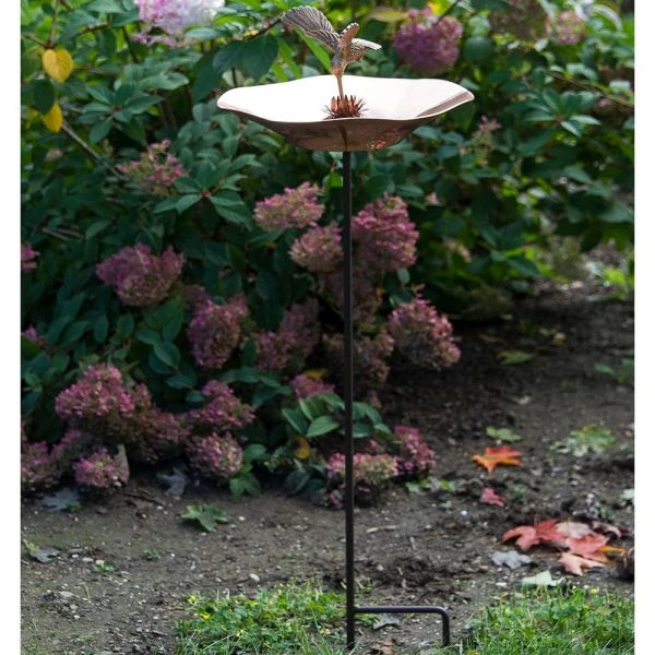Radiant Wings Birdbath 1 Radiant Wings Birdbath
