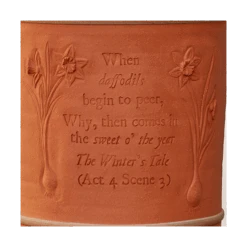 The Winter's Tale Pot 5 The Winter's Tale Pot -Olivia Plants Sales x600 20681