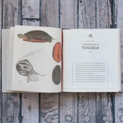 The Naturalist's Notebook -Olivia Plants Sales x600 20926