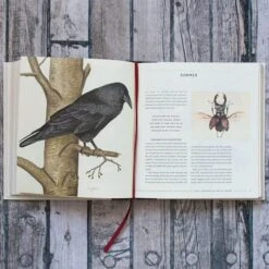 The Naturalist's Notebook -Olivia Plants Sales x600 20927