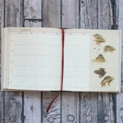 The Naturalist's Notebook -Olivia Plants Sales x600 20930