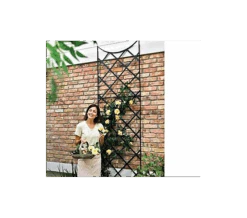 Large Rose Trellis