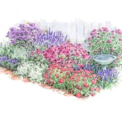 Pollinator Bulb & Perennial Garden 27 Pollinator Bulb & Perennial Garden -Olivia Plants Sales x600 22194