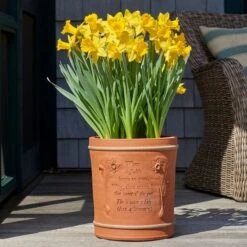 The Winter's Tale Pot