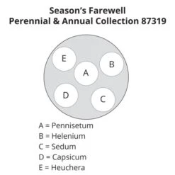 Season's Farewell Collection -Olivia Plants Sales x600 23132