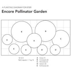 Encore Pollinator Garden -Olivia Plants Sales x600 23955