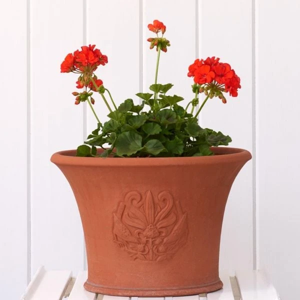 Birds & Berries Pot 2 Birds & Berries Pot - Image 2