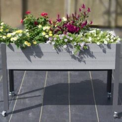 Spruce Self-Watering Elevated Planter -Olivia Plants Sales x600 24944