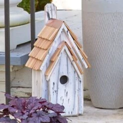 Bluebird Cottage -Olivia Plants Sales x600 26521