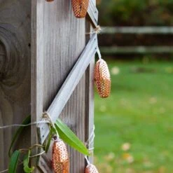 Radiant String Of Solar Lanterns - Copper -Olivia Plants Sales x600 28353