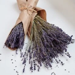 Dried Lavender Bundles, Set Of 2 -Olivia Plants Sales x600 29317
