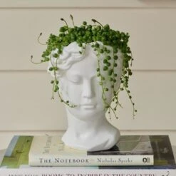 Persephone Ceramic Planter -Olivia Plants Sales x600 29331