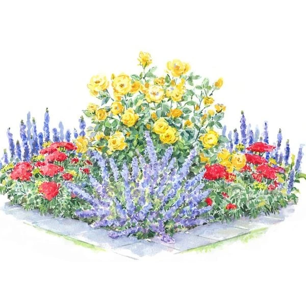 Perfumed Pageant Rose & Perennial Garden 6 Perfumed Pageant Rose & Perennial Garden - Image 6