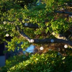 Glowing Globes Solar String Lights 6 Glowing Globes Solar String Lights -Olivia Plants Sales x600 31996