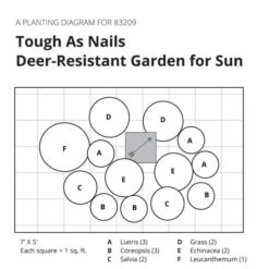 Tough As Nails Deer-Resistant Garden For Sun 18 Tough As Nails Deer-Resistant Garden For Sun -Olivia Plants Sales x600 32083