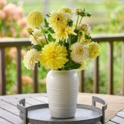 Three Rivers Handmade Ridged Frog Vase -Olivia Plants Sales x600 33028