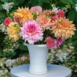 Three Rivers Handmade Fluted Frog Vase -Olivia Plants Sales x600 33029