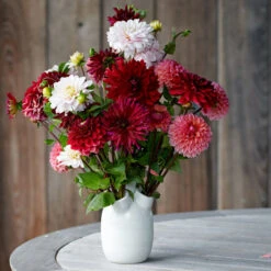 Three Rivers Handmade Ceramic Tulipiere -Olivia Plants Sales x600 33032