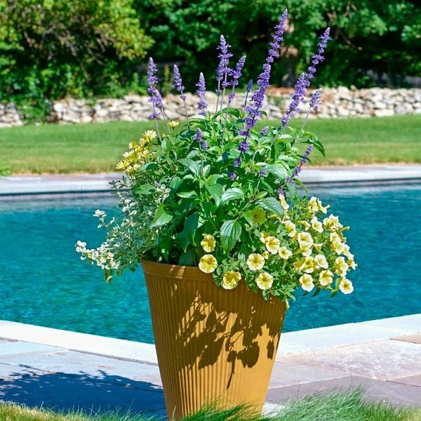 Sun & Sky Annual Collection 1 Sun & Sky Annual Collection