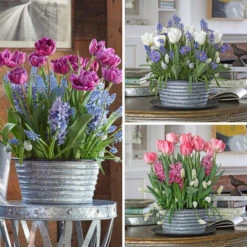 Three Months Of Winter Bulb Gardens, December - February